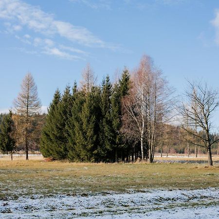 Alicjowka - Domek Marciszow ภายนอก รูปภาพ