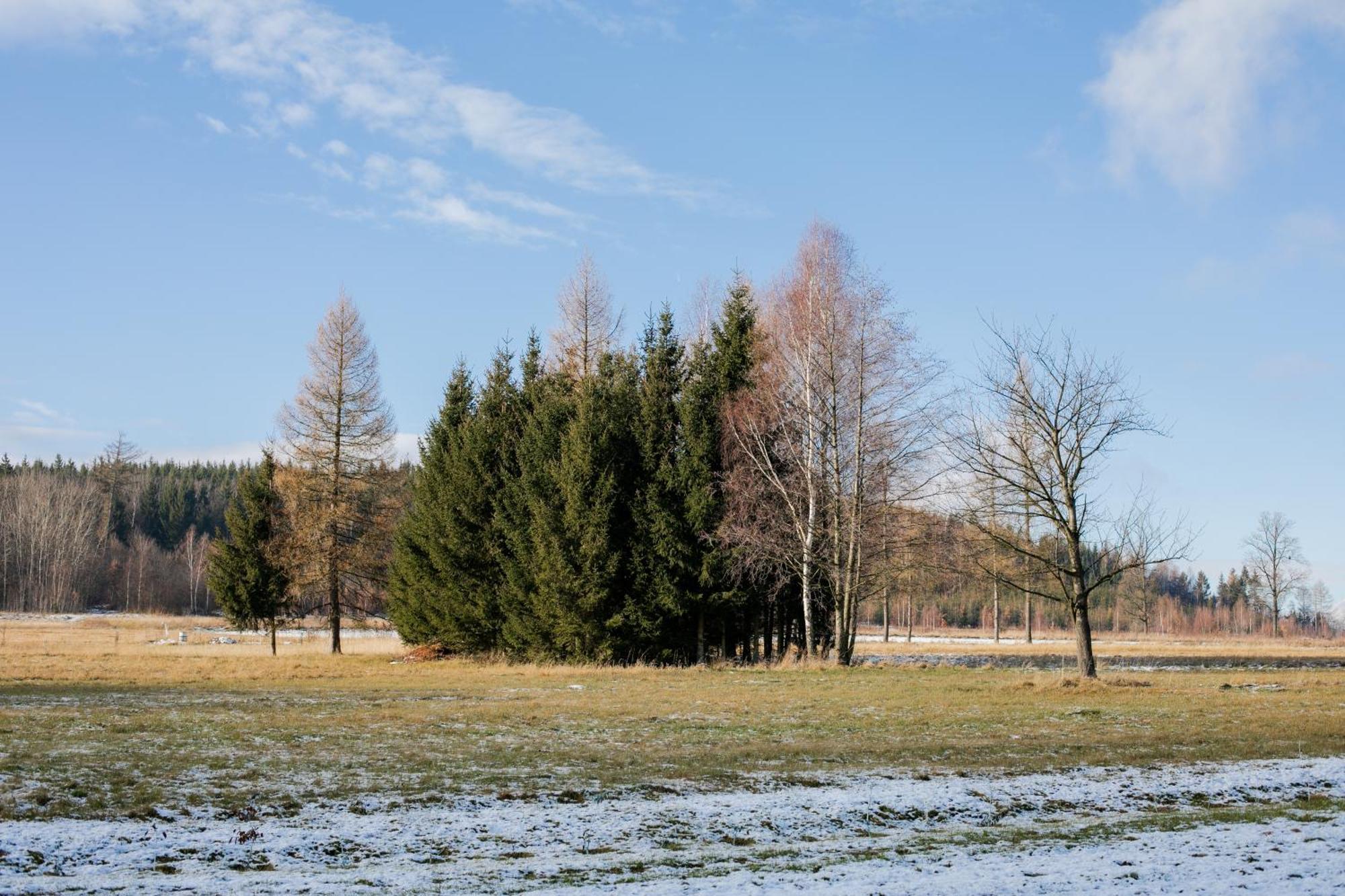 Alicjowka - Domek Marciszow ภายนอก รูปภาพ
